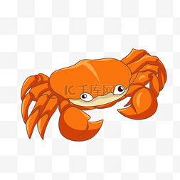 秋季水产新鲜海鲜红蟹插画