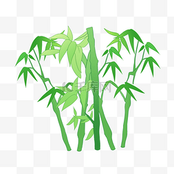 竹子植物竹叶