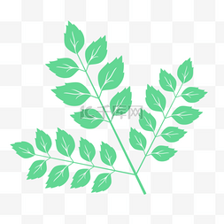手绘树叶脉络图片_绿色的树叶平面设计图