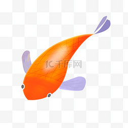 橘色锦鲤海底生物