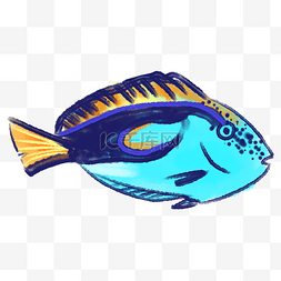 观赏性图片_蓝色热带鱼装饰插画