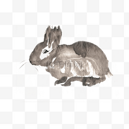 呆萌的兔子图片_可爱的兔子水墨画PNG免抠素材