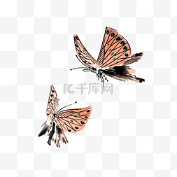 蝴蝶粉色淡粉翅膀PNG过画水墨