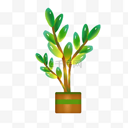 卡通盆栽图片_装饰绿色植物插画