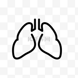 矢量肺部图片_免抠免费肺部矢量