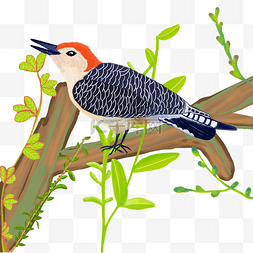 树枝装饰图图片_植树节新绿动物啄木鸟手绘免抠高