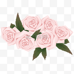 粉色玫瑰漂浮图片_美妆节永生花节日装饰花卉
