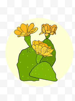 开花的仙人掌图片_手绘装饰图案植物元素开花的仙人