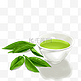 茶叶茶杯纯天然倒影水中的茶叶倒影绿色刚采的茶叶