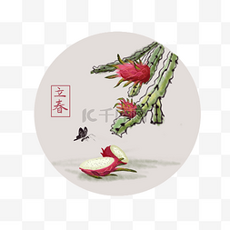 火龙果图片_24节气立春时节水墨画