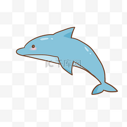 卡通手绘海洋鱼类图片_可爱海洋动物海豚插画