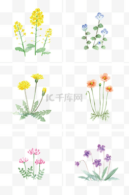 卡通油菜花图片_通用节日多彩卡通手绘花朵