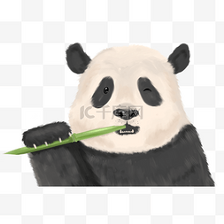 国宝熊猫手绘插画