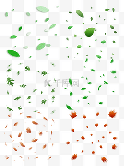前景装饰图片_植物树叶叶子漂浮气氛电商装饰免