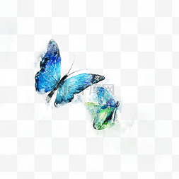 水彩浅蓝色两只蝴蝶手绘插画