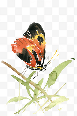 彩色的蝴蝶水彩画PNG免抠素材