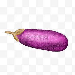紫色新鲜茄子食材PNG图片