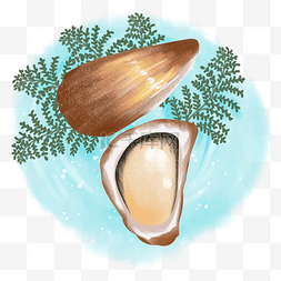 手绘贝壳图片_手绘海鲜美食美味贝壳之生蚝扇贝