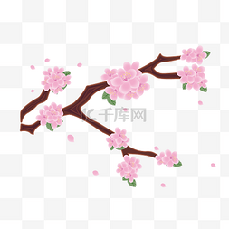 春季盛开的樱花插画
