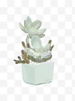 多肉手绘图片_手绘清新多肉植物插画设计01