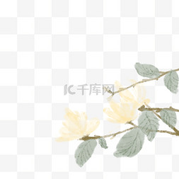 水墨植物花朵中国风