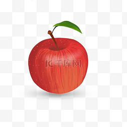 水果苹果图片_新鲜果实苹果手绘插画