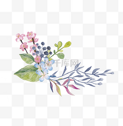 花卉花草插画图片_手绘花草花卉装饰