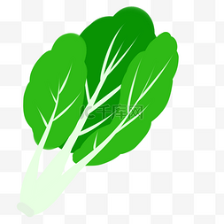 青菜油菜叶子