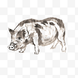 慵懒图片_散步的猪水墨画PNG免抠素材