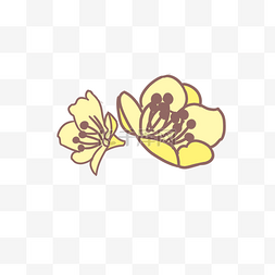 黄色桃花花