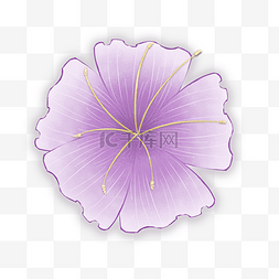 紫色手绘风清新可爱五瓣花朵png素