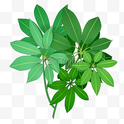 绿色植物简约背景图片_绿色花叶子插画背景