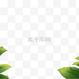 水珠叶子图片_带水珠的绿叶卡通png素材