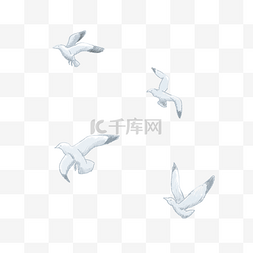 鸽子装饰图片_蜡笔风格手绘鸽子飞鸽和平鸽
