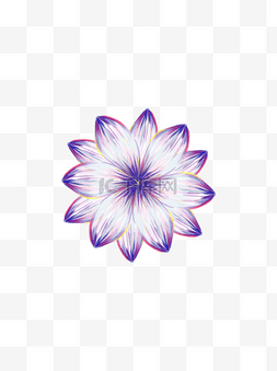 植物图片_紫色梦幻花瓣植物彩铅手绘可商用