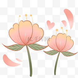 花朵小花粉色