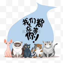 ps美图素材图片_招聘招人宠物店兽医诊所可爱猫咪