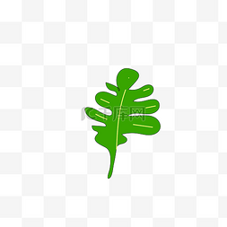 热带植物图片_棕榈叶水彩素材图