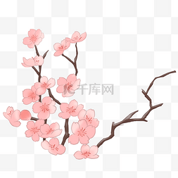春天的樱花卡通插画