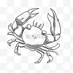 螃蟹图片_螃蟹手绘线稿素材