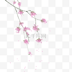 中国风粉色花枝装饰元素