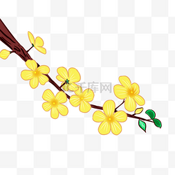 迎春花图片_手绘黄色的迎春花插画