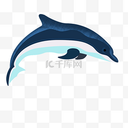 海豚免扣元素图片_一条卡通鲸鱼免扣图