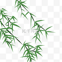 绿色植物竹叶风中飘