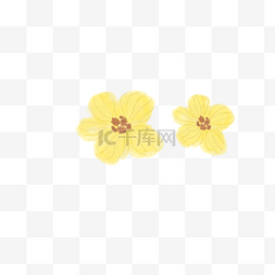 黄色条纹花朵PNG