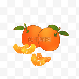 橘子手绘橘子图片_橘子手绘卡通插画