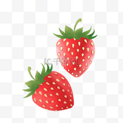 手绘写实草莓至尊红颜
