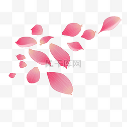 喜庆玫瑰图片_粉红色玫瑰花瓣漂浮装饰
