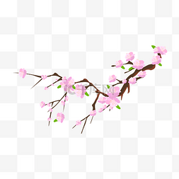 春季美丽的樱花插画