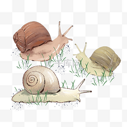 水彩免费下载图片_三只小蜗牛手绘装饰图案